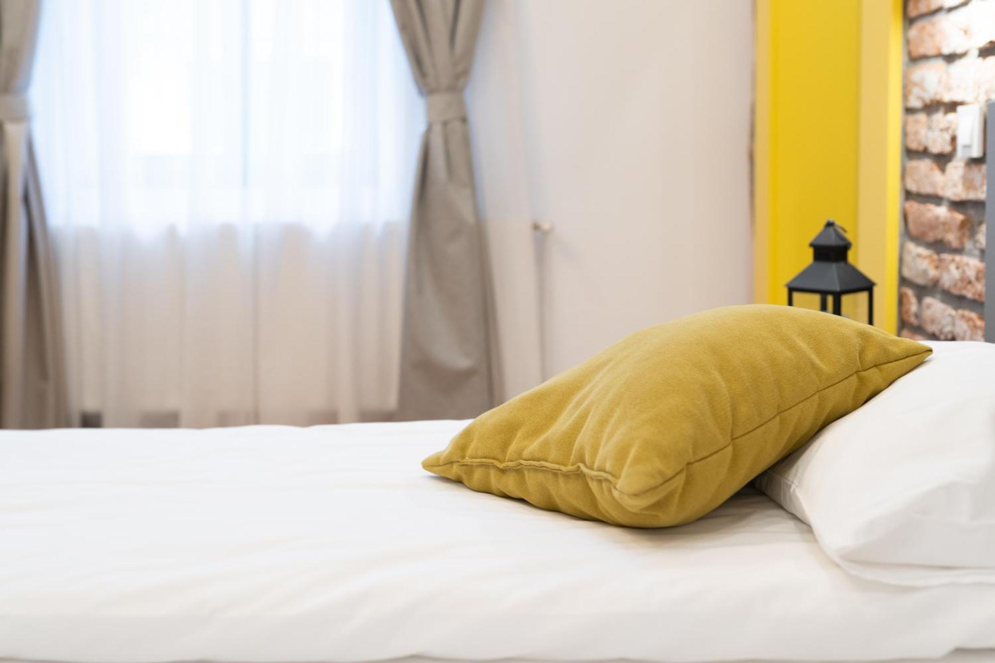 5 Star Luxury Studio-Old Town Center 克卢日-纳波卡 外观 照片